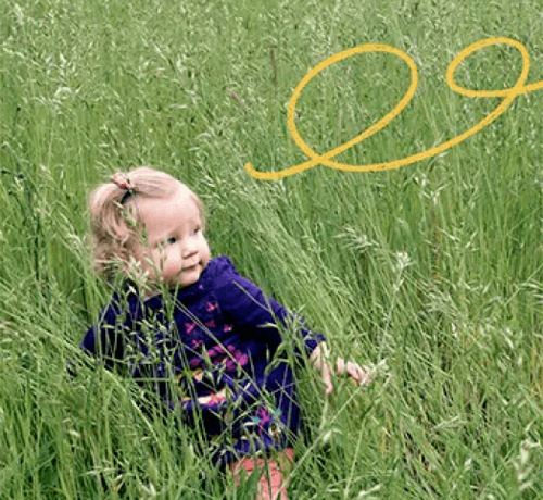 Le label Cosmos Organic - Mustela Multi-market - 1