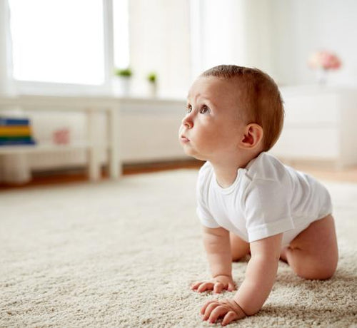 imageedit_5_4591924832_1751ffcf-0626-4f2c-b025-2c52d988d2b4 - Mustela Multi-market - 1